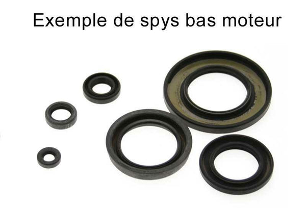 CENTAURO Oil Seal Set 990A004SR
