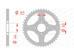 AFAM Steel Standard Rear Sprocket 12100 - 420