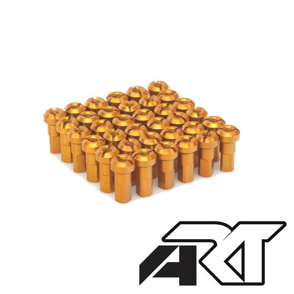 HAAN WHEELS Spokes set - 36 spokes TR-GOLD