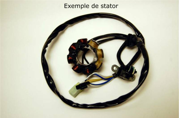 ELECTROSPORT Stator - Kawasaki ESC1370
