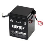 BS Battery SLA Battery Maintenance Free Factory Activated - 6N4-2A/A-4