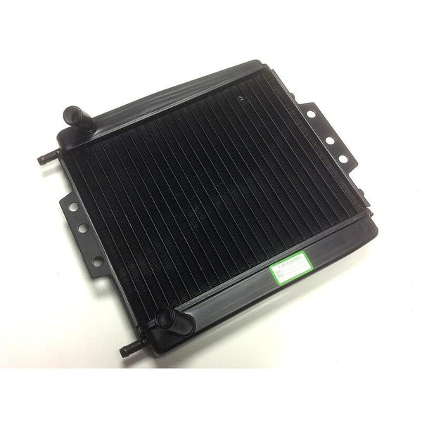 BIHR Water Cooler - Piaggio MP3 125 - 500 1118942