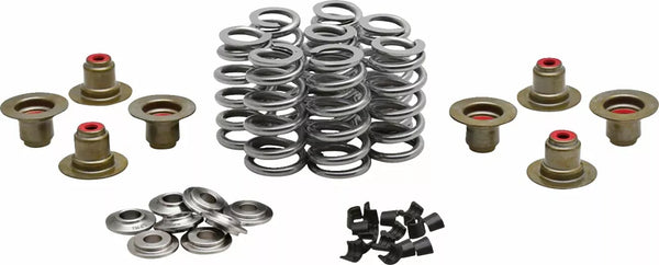 KIBBLEWHITE BEEHIVE VALVE SPRING KIT 0.640 20-24350