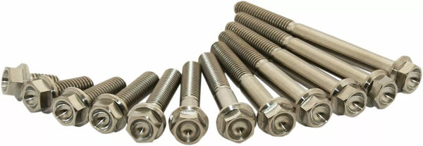 SCAR TITANIUM BOLT M6X20 PACK OF 2 STIM6X2002
