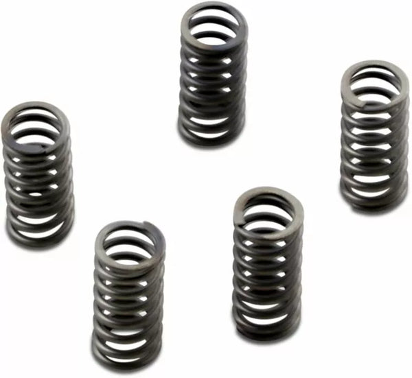 EBC Clutch Spring Set CSK CSK232
