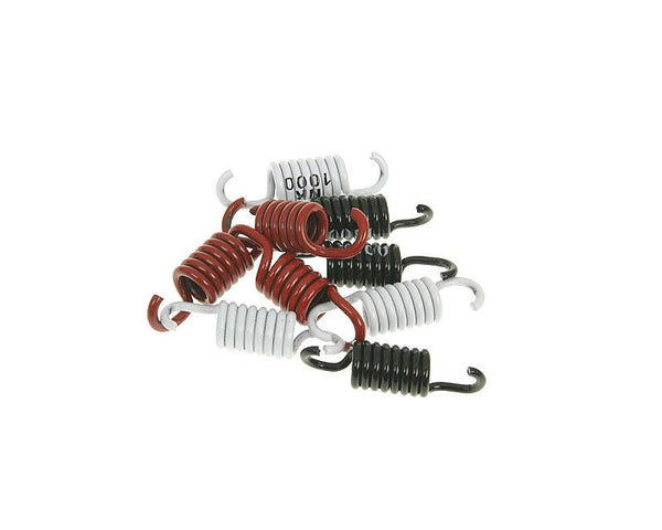 Naraku Clutch Spring Kit Sport NK900.42