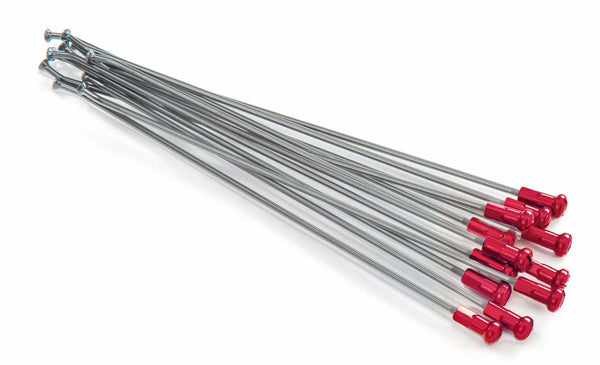 KITE SPOKES 21FR SI /RE NIP 12PC 20.901.0.RO