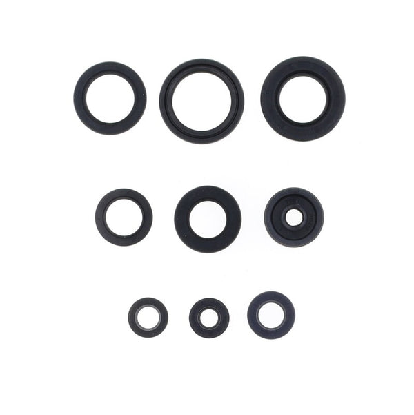 CENTAURO Oil Seal Set 990A152SR