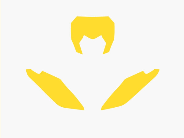 BLACKBIRD Plate Stickers Yellow Fantic XX 3F00/000004