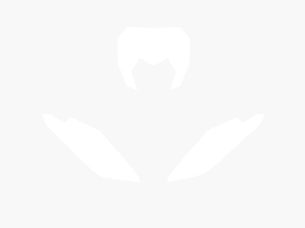 BLACKBIRD Plate Stickers White Fantic XX 3F00/000005