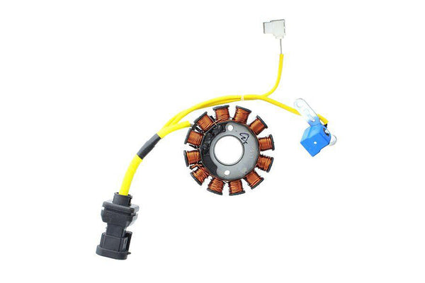 ELECTROSPORT Stator ESG 194 Aprilia-Vespa-Piaggio ESG194