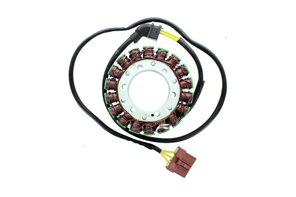 ELECTROSPORT Stator ESG 999 Aprilia RSV R 1000/Factory (04-09)/ ESG999