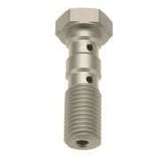 TRW BANJO BOLT DBL M10X1.25 T MCH951T