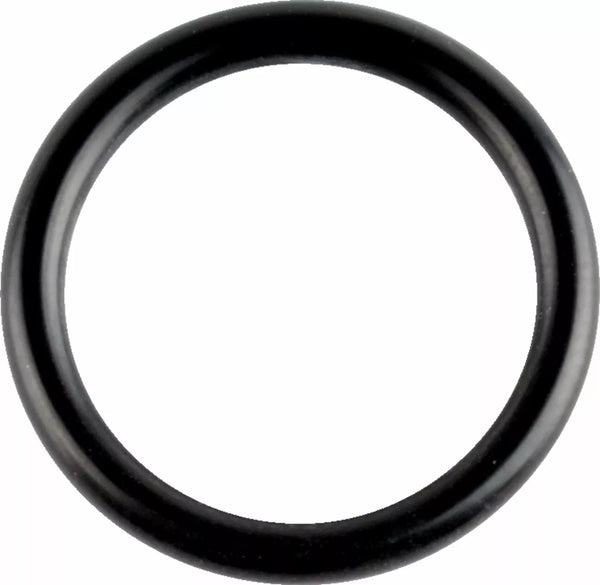 WSM ORING CRANKSHAFT 008-600-07