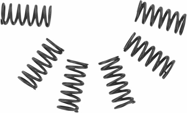 EBC Clutch Spring Set CSK CSK002