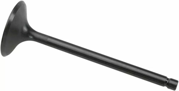 KIBBLEWHITE IN. VALVE YFM660R 01-02 80-80060