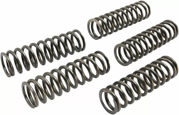 EBC CLUTCH SPRING SET (5 PCS) CSK237