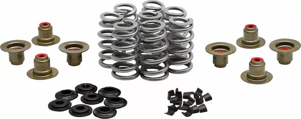 KIBBLEWHITE BEEHIVE VALVE SPRING KIT 0.640 20-24400