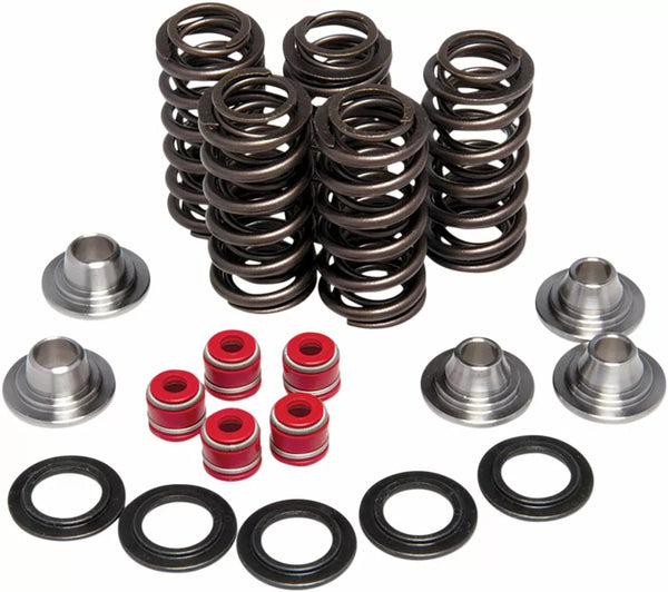 KIBBLEWHITE YZ450 SPRING KIT 80-80206