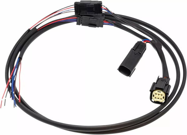 Namz Harness Rear Fender N-RBTH-01