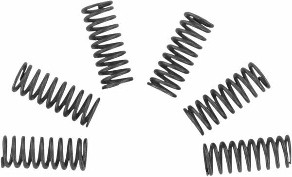 EBC CLUTCH SPRING SET CSK CSK032