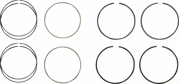 HASTINGS RINGS M8 107 3.937 STD WG2197600|2C5231